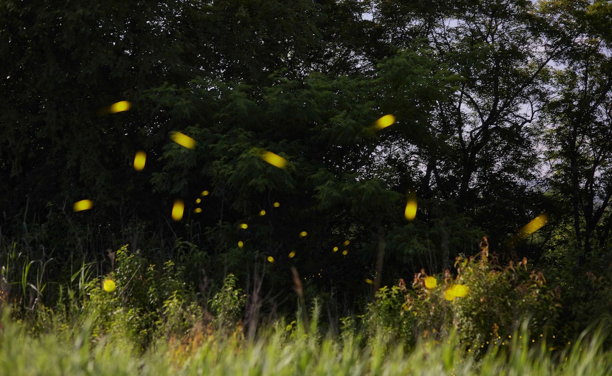 Photo: Unsplash Photo: Unsplash