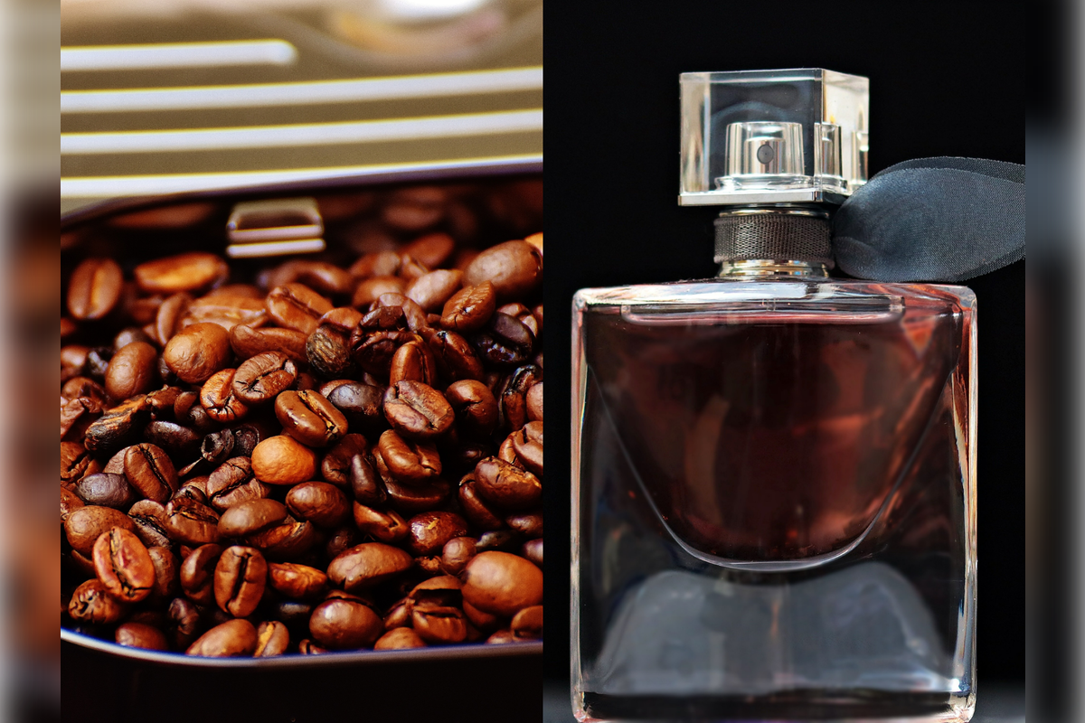 The Truth About Sniffing Coffee Beans Between Perfumes: Does it Really Work?