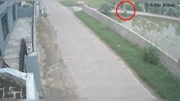 Video: Moments Before Marathoner Fauja Singh Was Killed By Speeding SUV