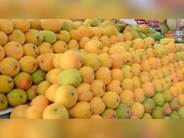 जयपुर के लोग 120 दिन में खा गए 72 लाख किलो आम, रोज 60,000 किलो की खपत