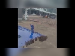 Bees Delay Surat-Jaipur IndiGo Flight. Fliers Wait As Fire Engine Called In
