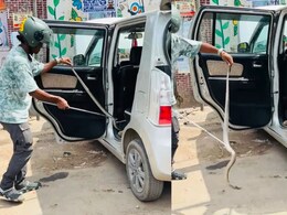 Snake in Car: चलती कार में अचानक निकला लंबा सांप, कार में बैठे लोगों की अटक गई सांसे, फिर जो हुआ...