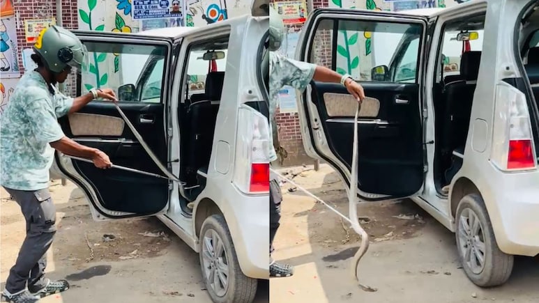 Snake in Car: चलती कार में अचानक निकला लंबा सांप, कार में बैठे लोगों की अटक गई सांसे, फिर जो हुआ... Snake in Car: चलती कार में अचानक निकला लंबा सांप, कार में बैठे लोगों की अटक गई सांसे, फिर जो हुआ...