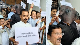 MP Monsoon Session: मध्य प्रदेश विधानसभा परिसर में भैंस के आगे बीन बजाकर प्रदर्शन कर रही कांग्रेस