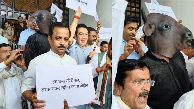 MP Monsoon Session: मध्य प्रदेश विधानसभा परिसर में भैंस के आगे बीन बजाकर प्रदर्शन कर रही कांग्रेस