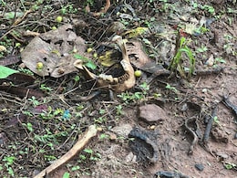 NDTV Exclusive: सिस्टम बेजान, मौत का अपमान, कफन का सौदा... भोपाल में लावारिस लाशों के साथ रोज दफन हो रही इंसानियत NDTV Exclusive: सिस्टम बेजान, मौत का अपमान, कफन का सौदा... भोपाल में लावारिस लाशों के साथ रोज दफन हो रही इंसानियत