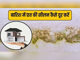 बारिश में पूरे घर में आ गई है सीलन तो ये सस्ता जुगाड़ मिनटों में दूर कर देगा सारी परेशानी, अपनाएं ये तरीका बारिश में पूरे घर में आ गई है सीलन तो ये सस्ता जुगाड़ मिनटों में दूर कर देगा सारी परेशानी, अपनाएं ये तरीका