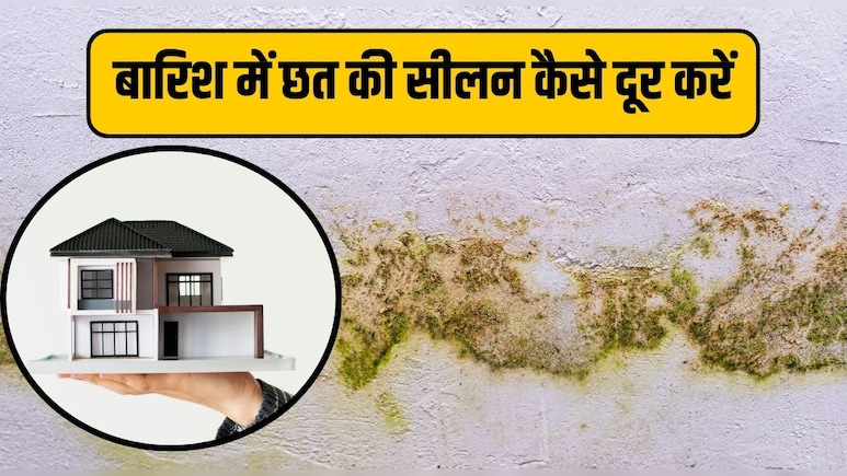बारिश में पूरे घर में आ गई है सीलन तो ये सस्ता जुगाड़ मिनटों में दूर कर देगा सारी परेशानी, अपनाएं ये तरीका बारिश में पूरे घर में आ गई है सीलन तो ये सस्ता जुगाड़ मिनटों में दूर कर देगा सारी परेशानी, अपनाएं ये तरीका