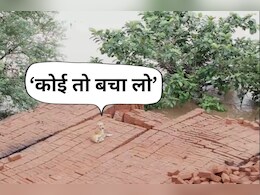 Puppy in Flood: ईंट भट्टे में फंसा बेजुबान, आहट मिलते ही लगाता है मदद की पुकार! असहाय बने लोग