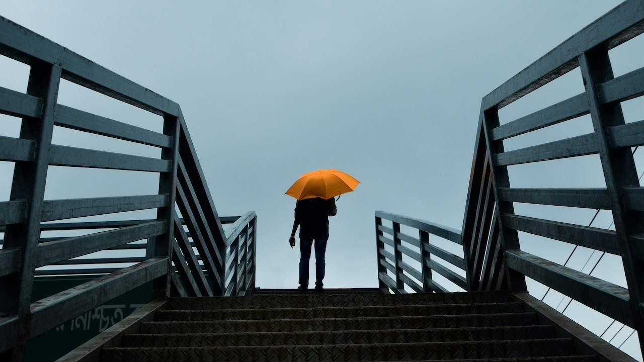 Tips on How To Buy An Umbrella