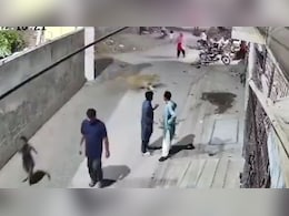 Video: Escaped Pet Lion Attacks Woman And Children On Pakistan Street Video: Escaped Pet Lion Attacks Woman And Children On Pakistan Street