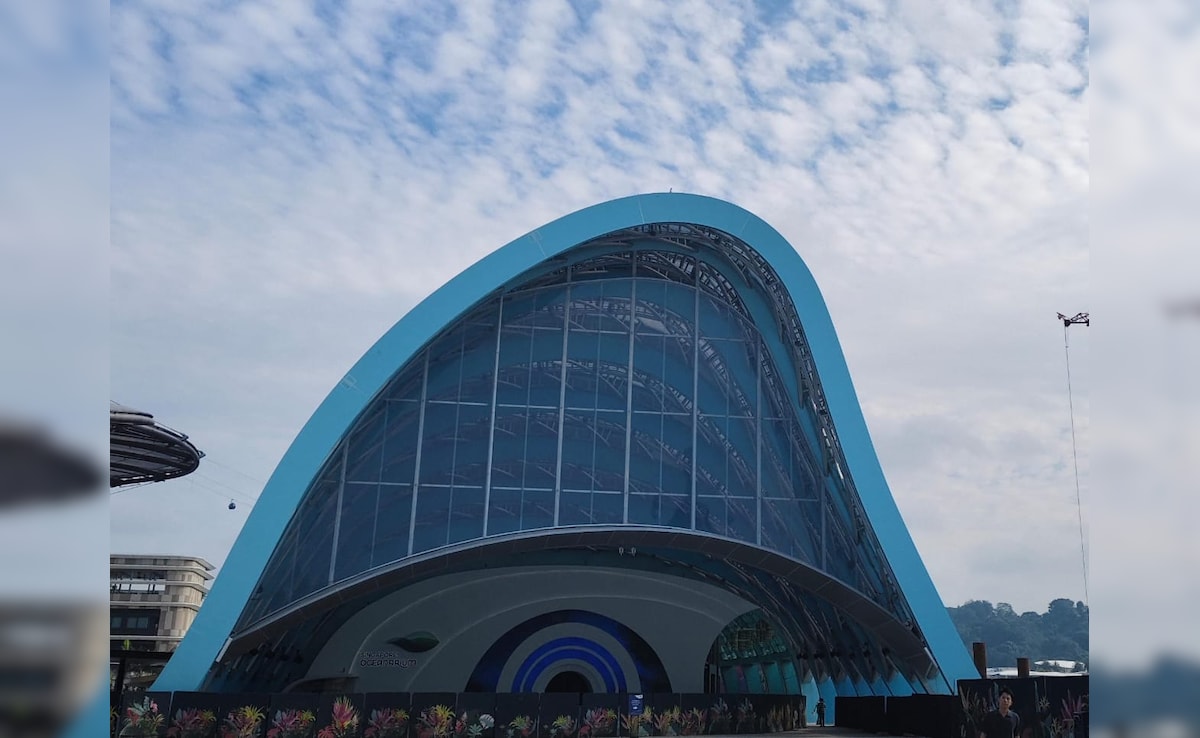 Singapore Oceanarium. Photo: Author Singapore Oceanarium. Photo: Author