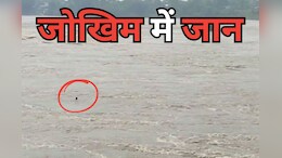 उफनती नर्मदा नदी में पुल से एक युवक ने लगा दी छलांग, SDRF टीम ने किसी तरह किया रेस्क्यू, जानें - पूरा मामला