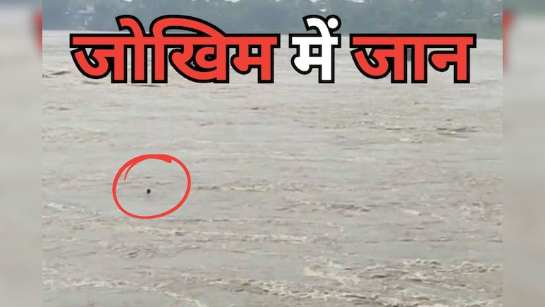 उफनती नर्मदा नदी में पुल से एक युवक ने लगा दी छलांग, SDRF टीम ने किसी तरह किया रेस्क्यू, जानें - पूरा मामला