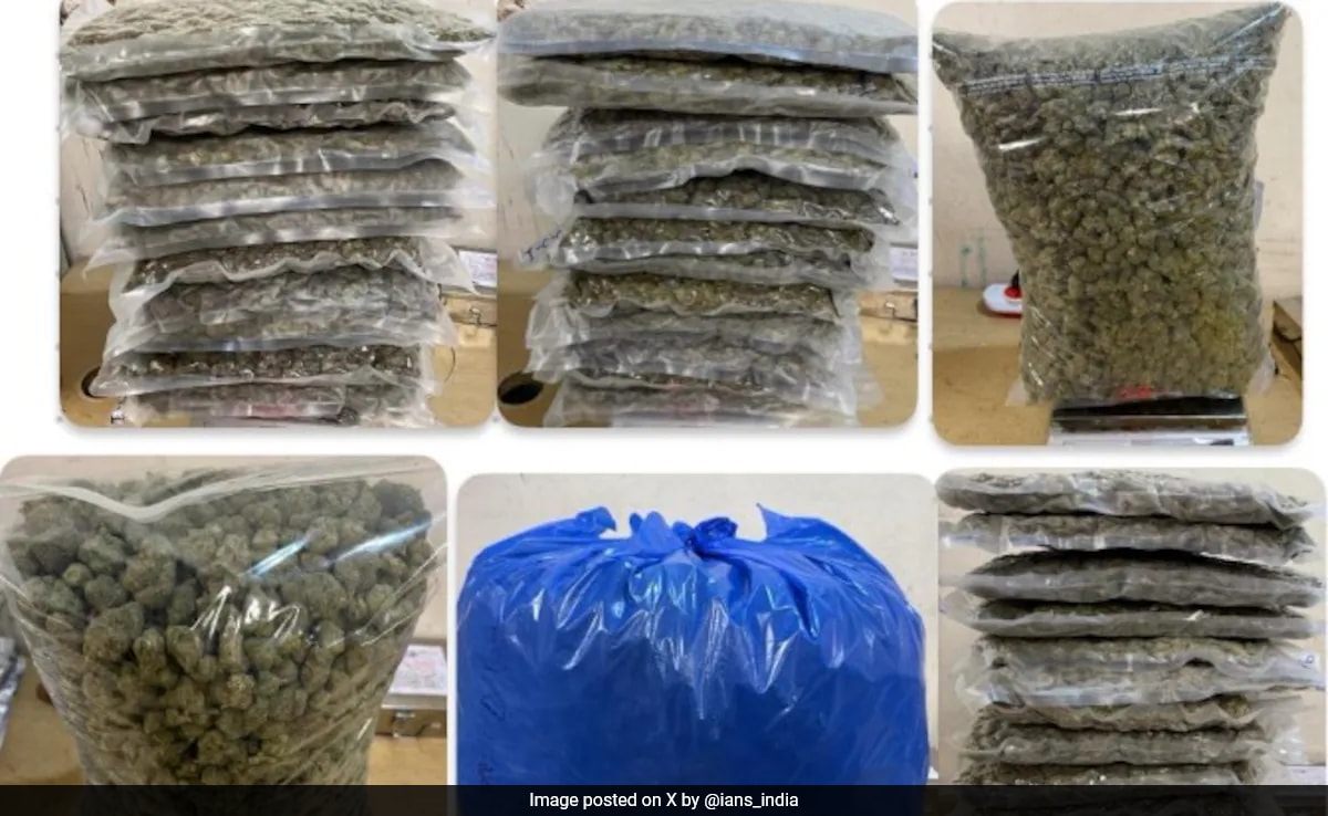 Hydroponic Weed на стойност 33,35 крони, иззети на летище Мумбай, 8 арестувани 