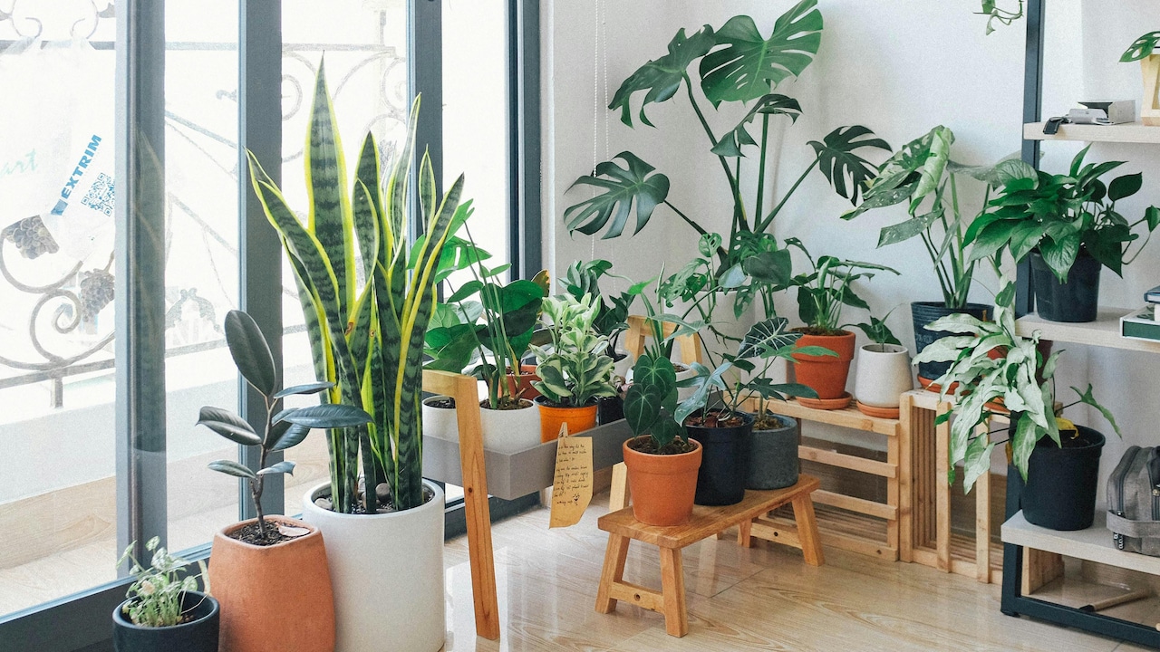 Step By Step Ideas To Organize And Decorate Your Hostel Room Using Small Storage Options And Wall Art To Create A Friendly And Functional Place