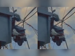 बिल्डिंग से लटकी स्कूटी ने उड़ाया हर किसी का होश, देख लोग बोले- पक्का 'पापा की परी' का ही काम होगा