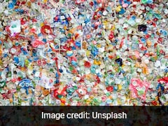 Fat From Trash: Scientists Discover Caterpillars That Can Turn Plastic Into Body Fat
