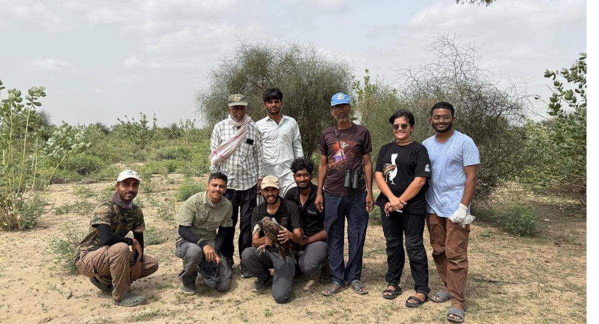 वैज्ञानिक ईगल और गिद्धों पर रिसर्च करने के लिए ट्रांसमीटर लगाकर छोड़ा. वैज्ञानिक ईगल और गिद्धों पर रिसर्च करने के लिए ट्रांसमीटर लगाकर छोड़ा.