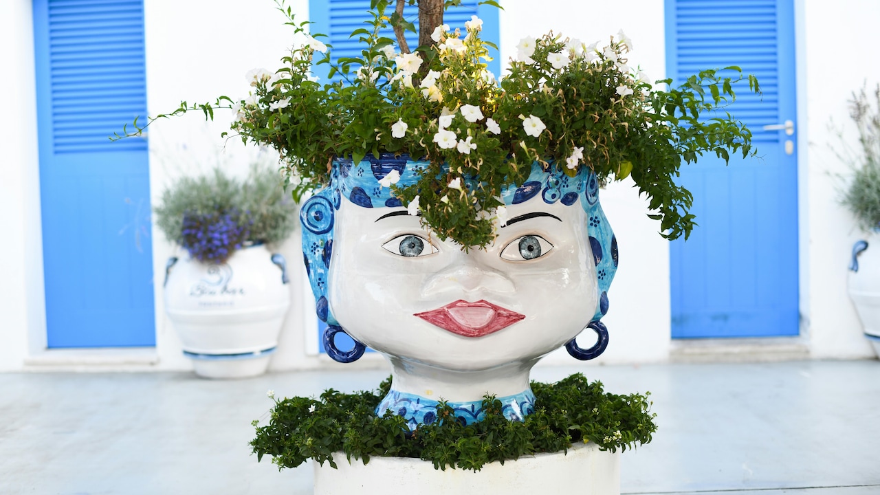 Transform your outdoors with strong and aesthetic ceramic planters