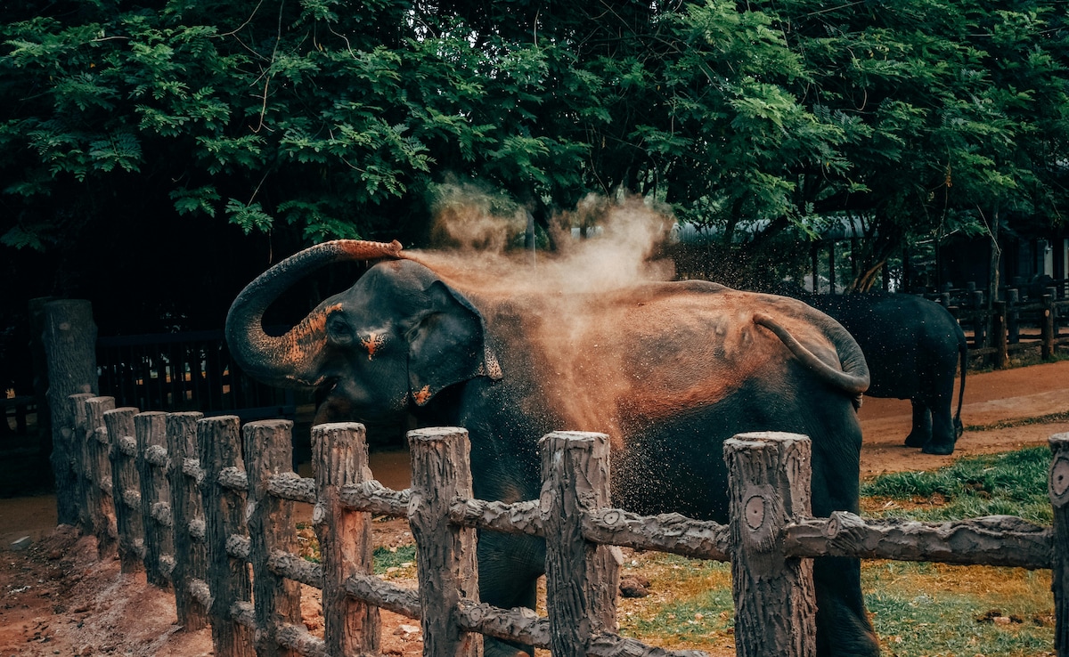 Latest and Breaking News on NDTV Latest and Breaking News on NDTV