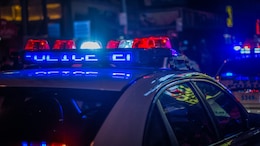 Teenager Sucked Into Meat Grinder In US Factory, Probe Ordered