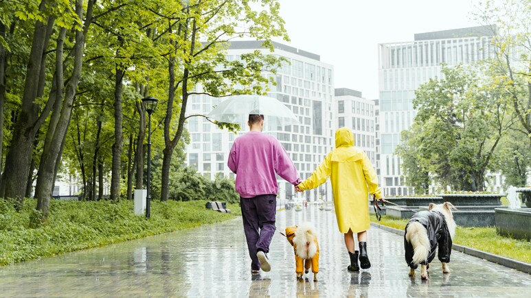 बच्चों से लेकर बड़ों तक, बारिश में सब रहें Dry इन Stylish और Budget-Friendly Rain Coats के साथ बच्चों से लेकर बड़ों तक, बारिश में सब रहें Dry इन Stylish और Budget-Friendly Rain Coats के साथ