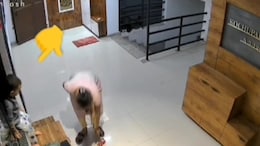 Mumbai Girl, 4, Falls From 12th Floor After Mother Seats Her On Shoe Rack
