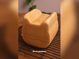 Viral Video Shows The Making Of Adorable "Cat Bread". Internet Is In Love With It Viral Video Shows The Making Of Adorable "Cat Bread". Internet Is In Love With It