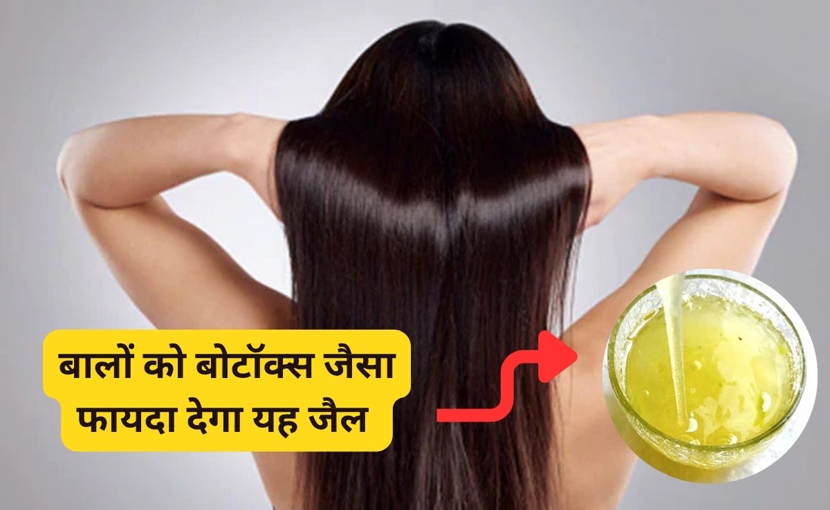 घर पर ही बालों को बोटॉक्स कर सकती हैं आप, इन भूरे बीजों से तैयार करें जैल और फिर देखें असर