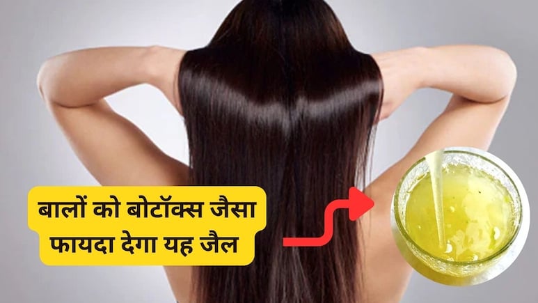 घर पर ही बालों को बोटॉक्स कर सकती हैं आप, इन भूरे बीजों से तैयार करें जैल और फिर देखें असर