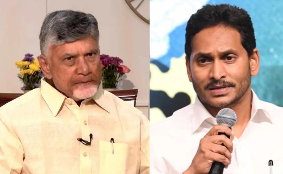 Streets To Parliament: Jagan Reddy's Party, TDP Clash Over Medical College Privatisation In Andhra