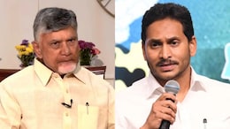 Streets To Parliament: Jagan Reddy's Party, TDP Clash Over Medical College Privatisation In Andhra