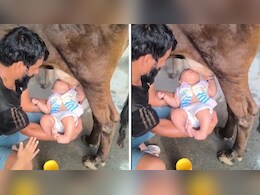 नन्हे बच्चे को सीधे गाय के थन से दूध पिलाता दिखा शख्स, डॉक्टर से जान लें कितना खतरनाक है ऐसा करना