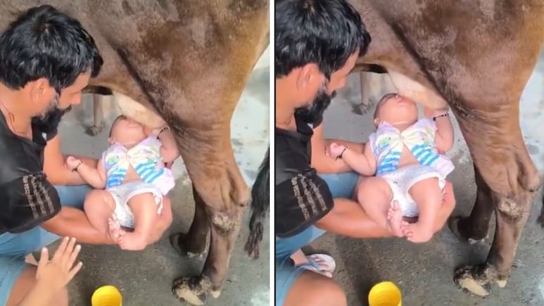 नन्हे बच्चे को सीधे गाय के थन से दूध पिलाता दिखा शख्स, डॉक्टर से जान लें कितना खतरनाक है ऐसा करना