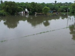 NHAI की लापरवाही का खामियाजा भुगत रहा किसान, नेशनल हाईवे से गांव में घुस गया पानी, 2000 बीघा फसल चौपट NHAI की लापरवाही का खामियाजा भुगत रहा किसान, नेशनल हाईवे से गांव में घुस गया पानी, 2000 बीघा फसल चौपट