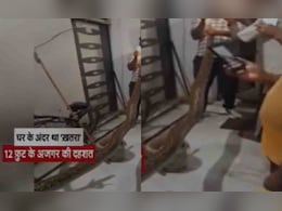 घर के अंदर मिला 12 फीट लंबा अजगर, वीडियो देख चौंक जाएंगे आप