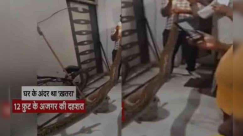 घर के अंदर मिला 12 फीट लंबा अजगर, वीडियो देख चौंक जाएंगे आप