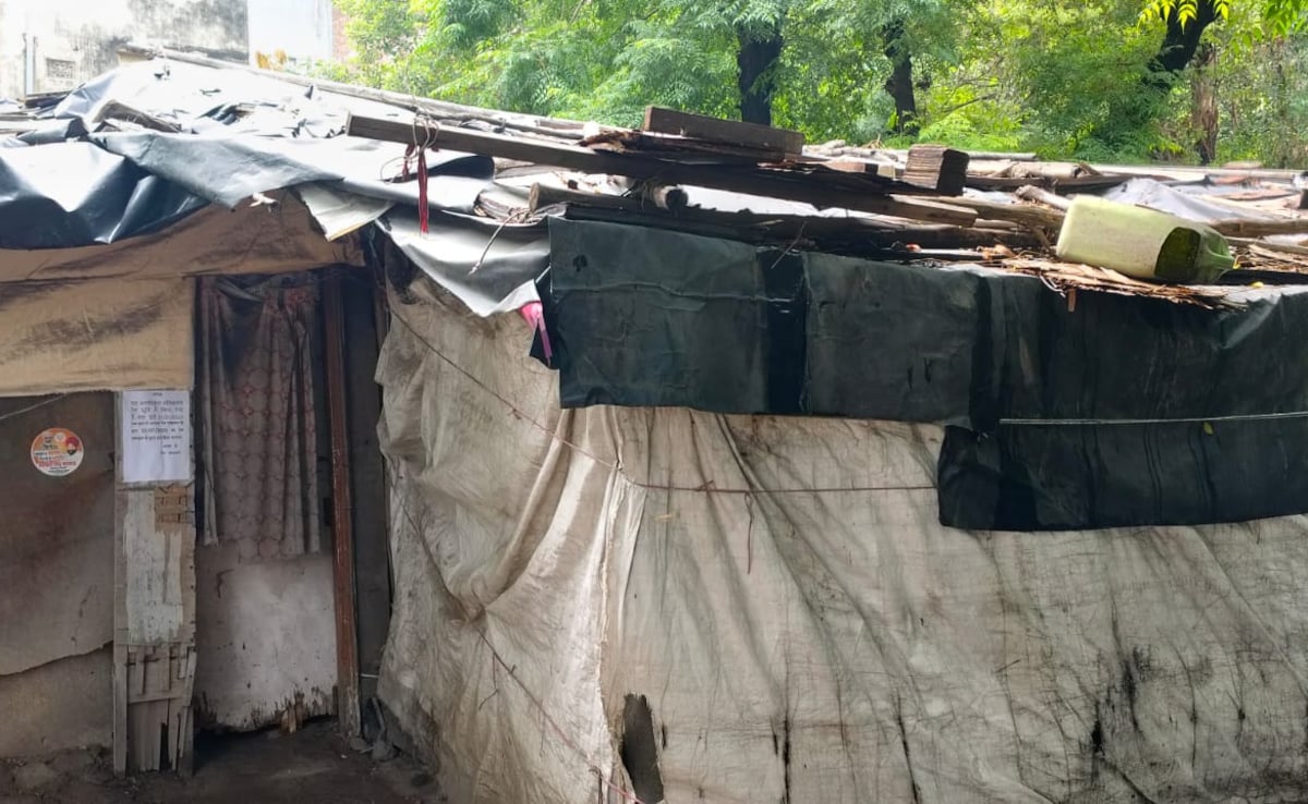 Latest and Breaking News on NDTV