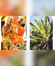 गुरुवार के दिन इन उपायों को करने से बढ़ता है गुडलक, बन जाता है बिगड़ा भाग्य