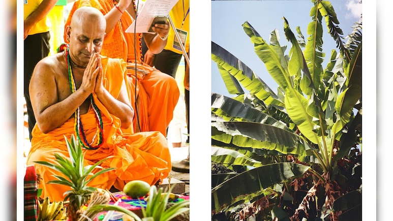 गुरुवार के दिन इन उपायों को करने से बढ़ता है गुडलक, बन जाता है बिगड़ा भाग्य