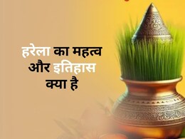 देवभूमि में आज हरेला पर्व का उत्सव, यहां जानिए इस त्योहार का इतिहास और महत्व