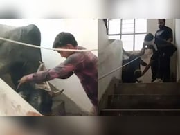 सांड ने कोतवाली में मारी धमाकेदार एंट्री, घूमते हुए तीसरी मंजिल पर जा पहुंचा, नीचे उतारने में छूटे पसीने