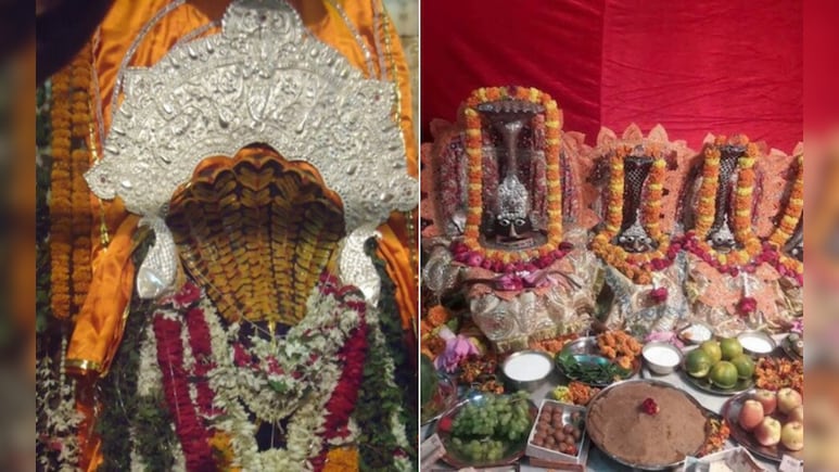 कुंभ नगरी प्रयागराज में कहां है नाग देवता का सबसे बड़ा धाम, जहां दर्शन से दूर होते हैं सारे दोष कुंभ नगरी प्रयागराज में कहां है नाग देवता का सबसे बड़ा धाम, जहां दर्शन से दूर होते हैं सारे दोष