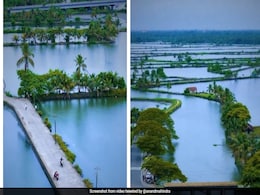 Watch: This Serene Kerala Village Is On Anand Mahindra's December Bucket List Watch: This Serene Kerala Village Is On Anand Mahindra's December Bucket List