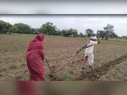 "No Choice": No Money For Oxen, Tractor, Elderly Couple Till Land For Crops "No Choice": No Money For Oxen, Tractor, Elderly Couple Till Land For Crops