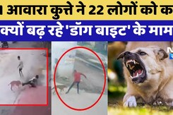 Dog Attack: Didwana एक Stray Dogs 3 दिनों में  30 से ज्यादा लोगों पर हमला Dog Attack: Didwana एक Stray Dogs 3 दिनों में  30 से ज्यादा लोगों पर हमला