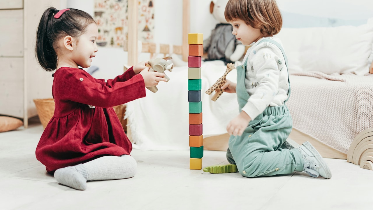 Where childhood blooms: soft toys, curious minds, and a splash of color to shape big dreams.