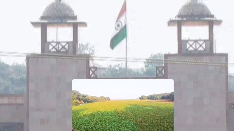 लापरवाह अधिकारी हाजिर हों... हाईकोर्ट ने समन भेज 5 अगस्त को बुलाया, माधव झील से जुड़ा है मामला लापरवाह अधिकारी हाजिर हों... हाईकोर्ट ने समन भेज 5 अगस्त को बुलाया, माधव झील से जुड़ा है मामला