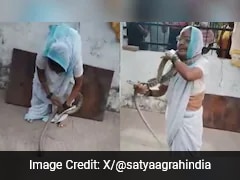 Watch: Grandmother Wraps Snake Around Neck, Shocks Internet With Her Daring